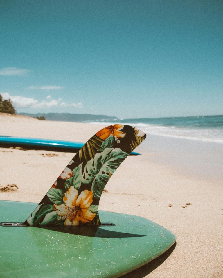 Step-by-Step: Catching Your First Wave